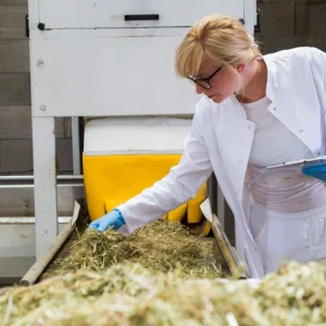 Scientist examines hemp plants in a factory